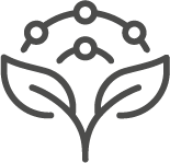 Icon für Naturheilkunde und pflanzliche Therapie bei Heilpraktikerin in Ahaus